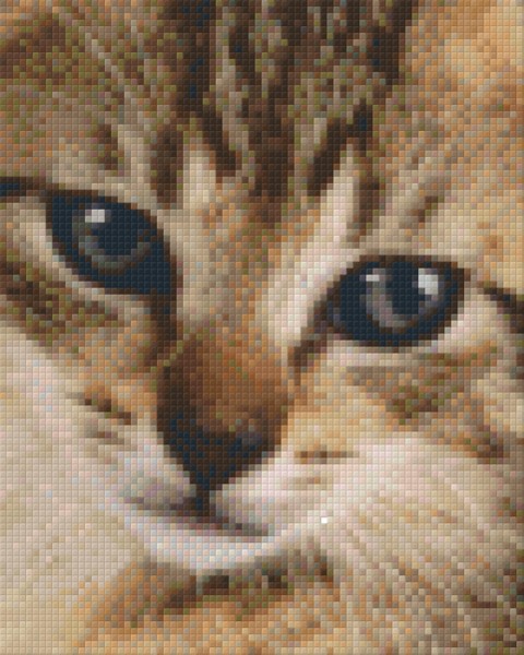 804146 Pixelhobby Klassik Set Katze 3