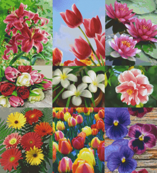 Pixelhobby Klassik Sets Blumen mit 9 Basisplatten