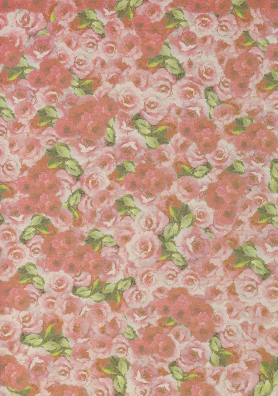 8006215 Bastelkarton A4 Rosen
