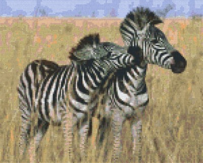 809302_Pixelset-Zebras-2