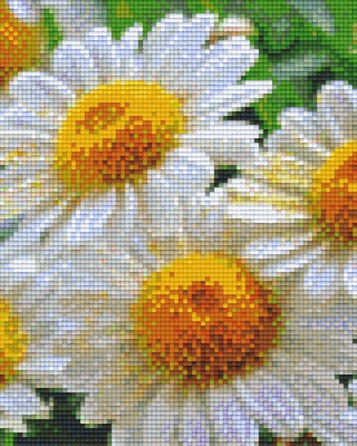 804471 Pixelhobby Klassik Set Margeriten