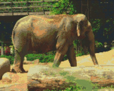 809334_Pixelset-Elefant-4