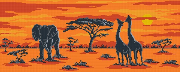 Set Safari