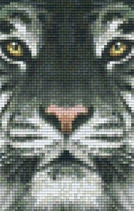 802107 Pixelhobby Klassik Set Tigerkopf