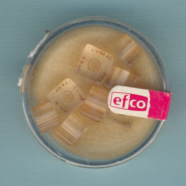 2115806 Glasperlen Style Würfel 9x6mm creme beige 8 Stück