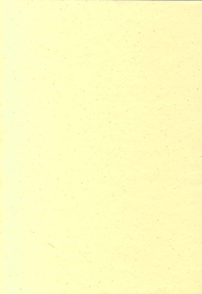 511201 Naturpapier A4 elfenbein gold flitter