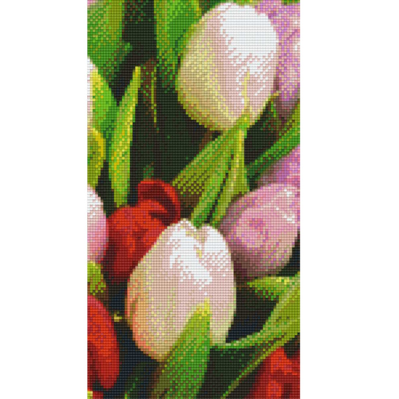806139 Pixelhobby Klassik Set Tulpen 6