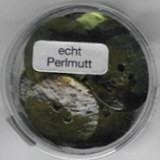 Perlmutt 2-Loch Ronde 20mm grün