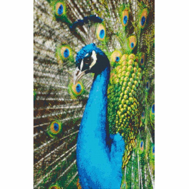 820019 Pixelhobby Klassik Set Pfau 1