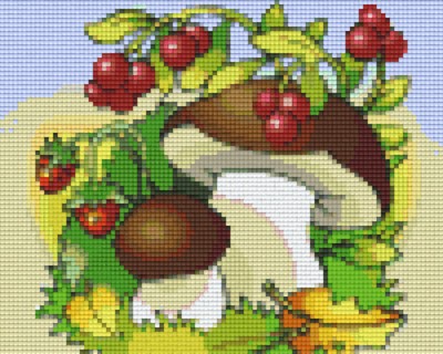 804205 Pixelhobby Klassik Set Pilze 2