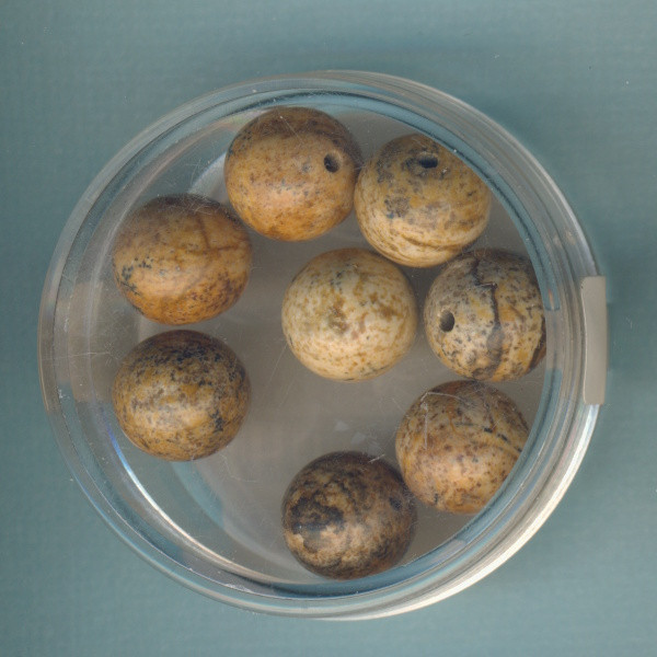 4866-10064 Halbedelsteinperle Landschaftsjaspis 10mm 8 Stück