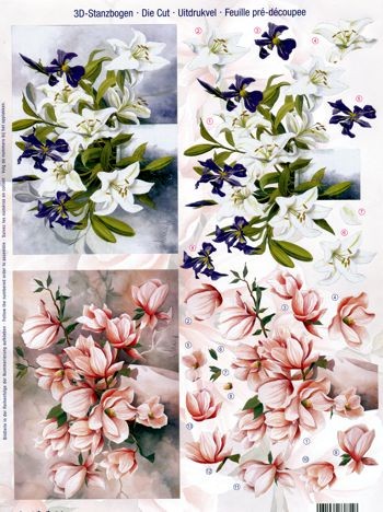 3D-Stanzbogen Blumen, Lilien und Magnolien