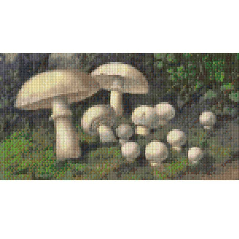 806040 Pixelhobby Klassik Set Pilze 3