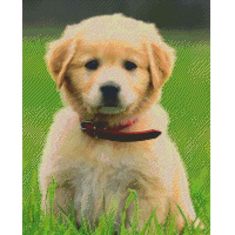 816192 Pixelhobby Klassik Set Hund Welpe 2