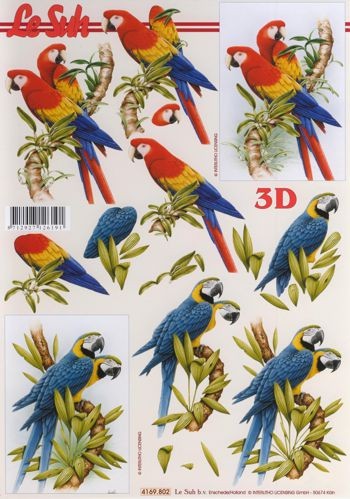 3D Motivbogen Papagei 1