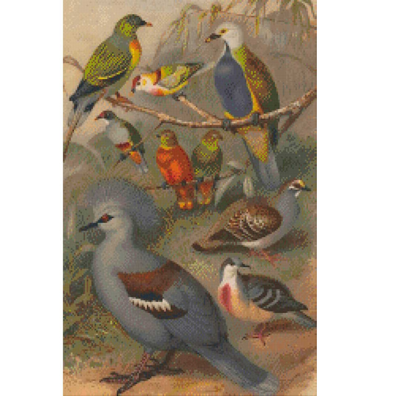 820006 Pixelhobby Klassik Set Vögel