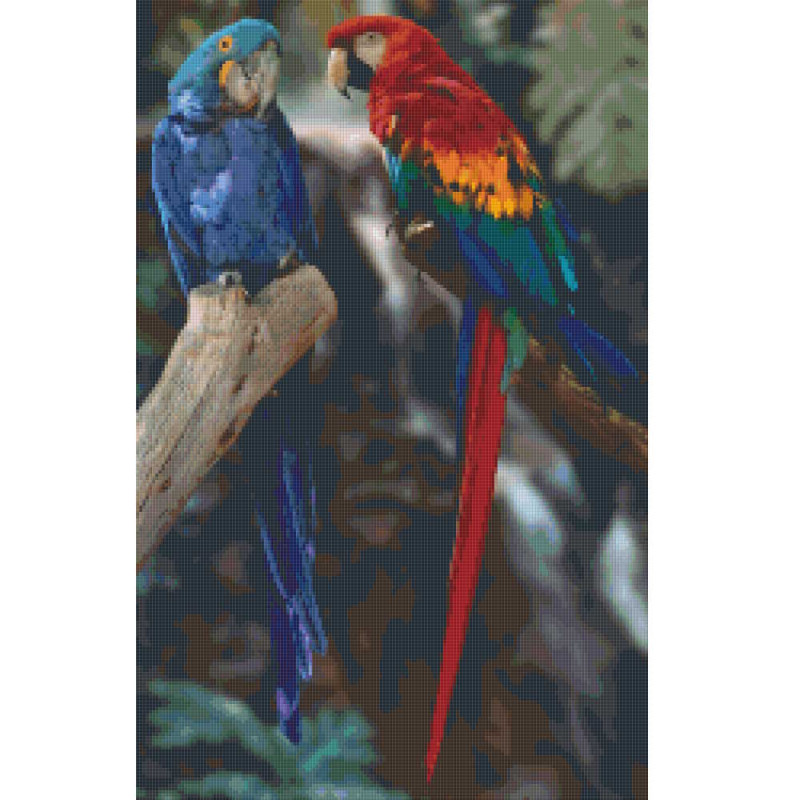 820044 Pixelhobby Klassik Set Papageien 3