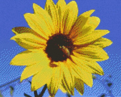 809162_Pixelset-Sonnenblume-2