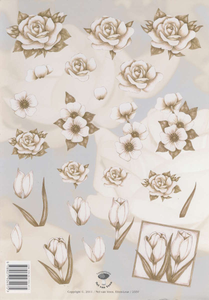 2337 3D Motivbogen A4 White Roses