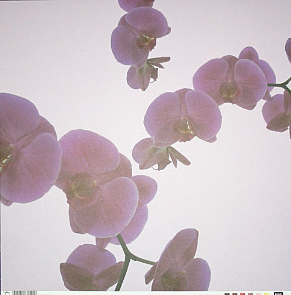 Scrapbook-Blatt Violets
