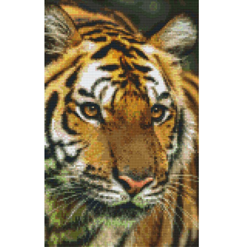 808079 Pixelhobby Klassik Set Tigerkopf 4