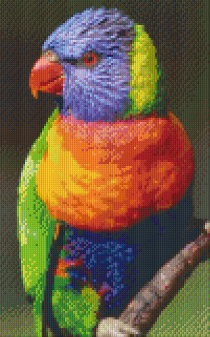 808017 Pixelhobby Klassik Set Papagei 8