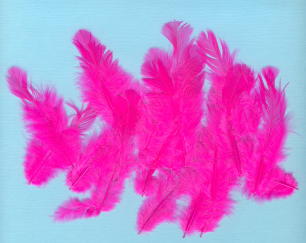 9302403 Hühnerfedern 8-9cm pink 20 Stück
