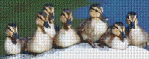 808016 Pixelhobby Klassik Set Enten 3