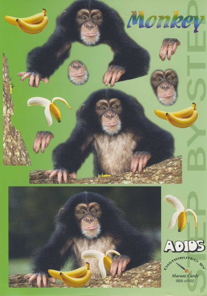 371922 3D Motivbogen A4 Monkey