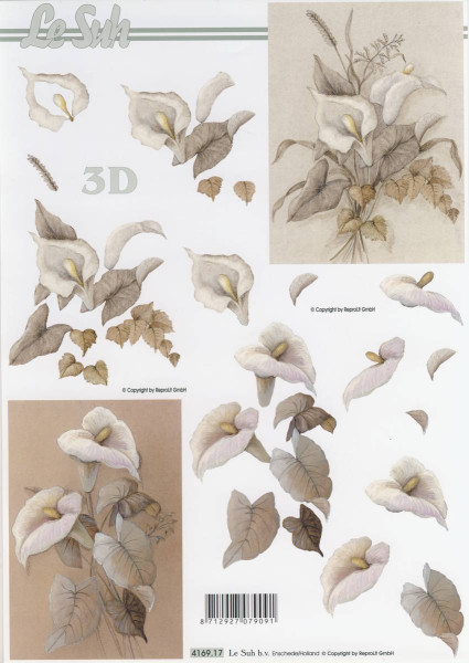 4169.17 3D Motivbogen A4 Calla 1