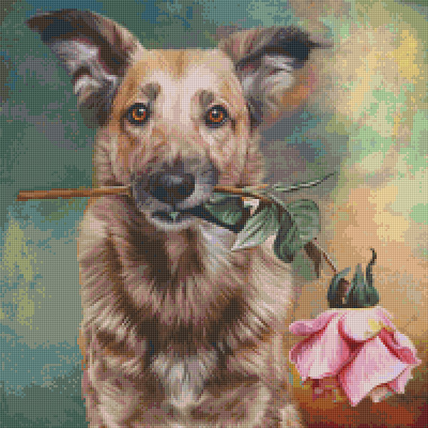 820073 Pixelhobby Klassik Set Hund mit Rose