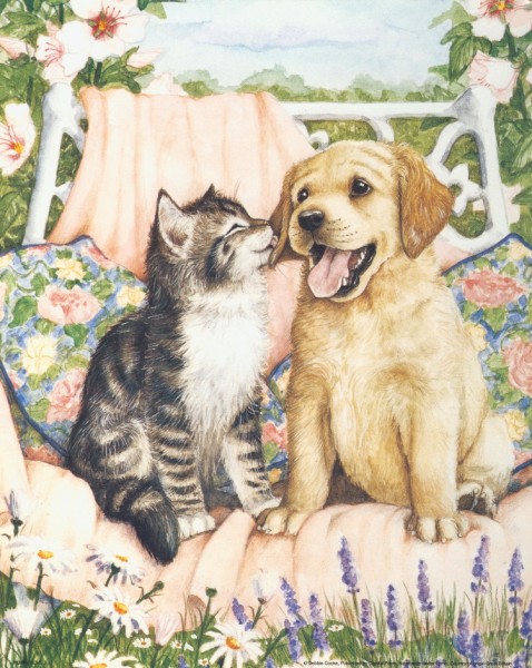 1514216 Motivbögen Hund und Katze auf Bank für 3D Reliefbild