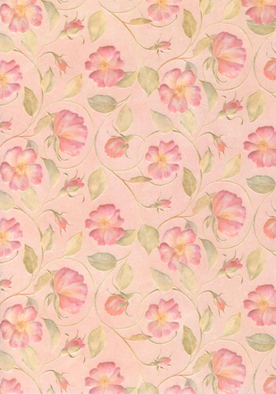 80061000 Hintergrundpapier geprägt A4 wilde Rose