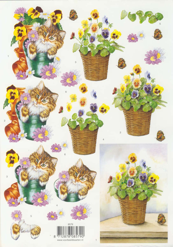 8579 3D Motivbogen A4 Katze im Blumentopf