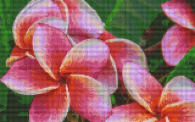 808108_Pixelset-Blumen-rosa-2
