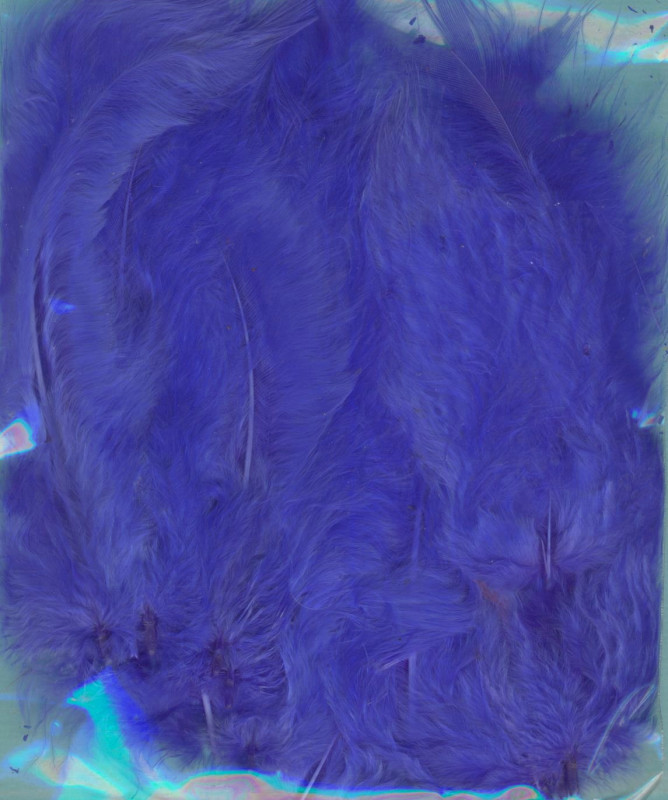005014 Federn blau 20 Stück