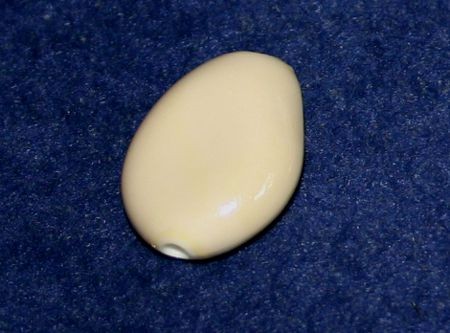 6094251_Acrylperle-Flacho-25mm-creme