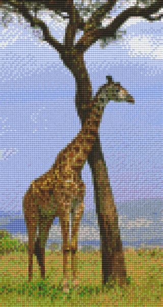 806080 Pixelhobby Klassik Set Giraffe 11