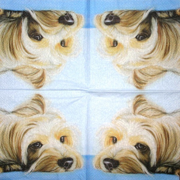 Serviette Dösender Hund