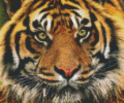 806141 Pixelhobby Klassik Set Tiger 5