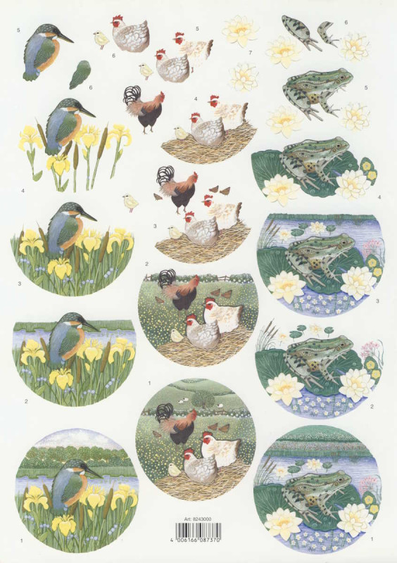 8243000 3D Motivbogen A4 Eisvogel Hahn Frosch