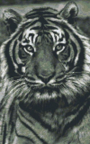 px808086_Pixelset-Tiger-grau