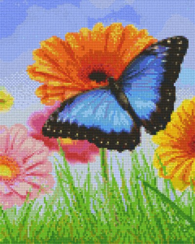 809371_Blumen-mit-Schmetterling