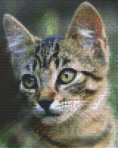 804467 Pixelhobby Klassik Set Katze 6