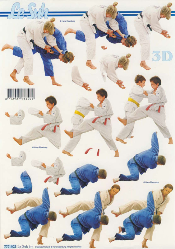 777.402 3D Motivbogen A4 Judo