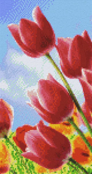 806168 Pixelhobby Klassik Set Tulpen 6