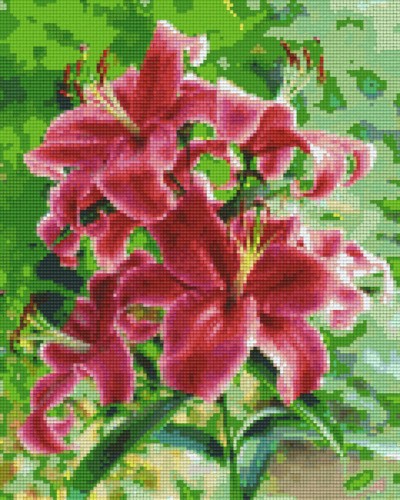 809268_Pixelset-Lilien rot