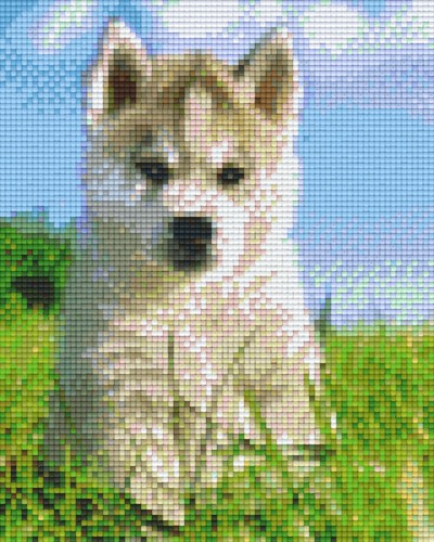 804270 Pixelhobby Klassik Set Husky Welpe