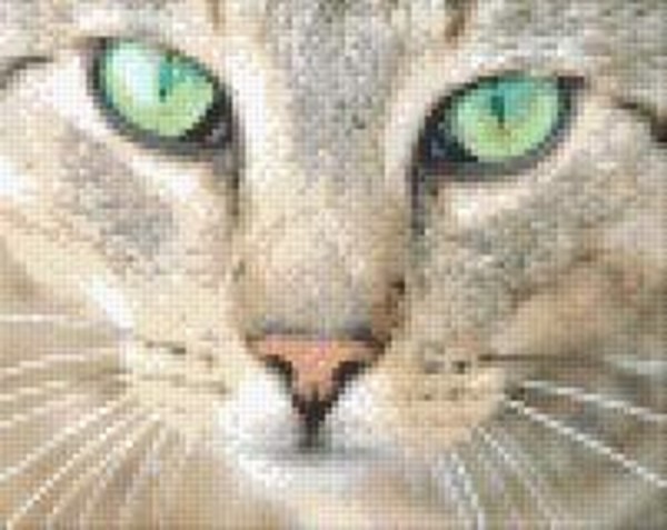 804040 Pixelhobby Klassik Set Katze mit grünen Augen 3