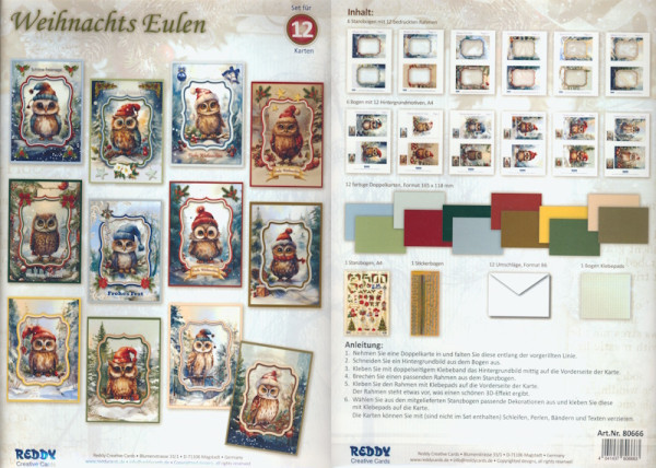80666 Karten Bastelset Weihnachts Eulen